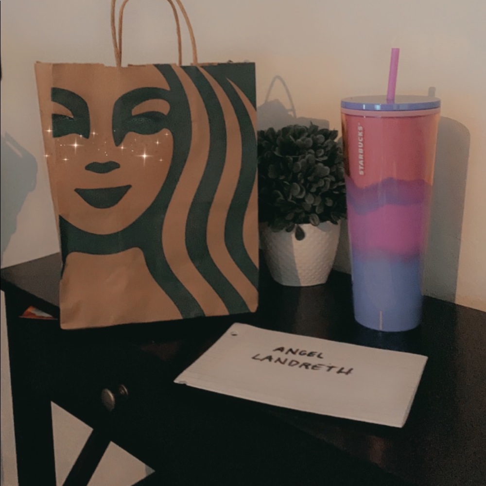 Light Pink/Purple Ombré Tumbler